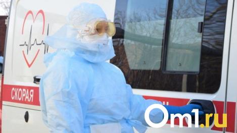 Трагедия во Владимирской области: оборванный провод унёс жизнь ребёнка