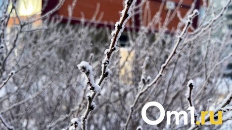 Омск оказался городом с самыми сильными морозами на Крещение