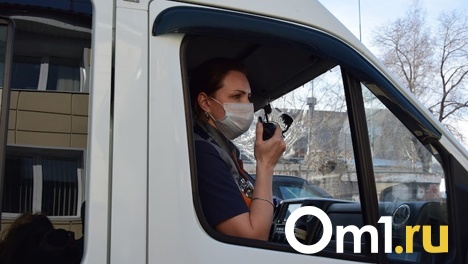 Перелом позвонков и черепа. В Омске сбили ребёнка и взрослого мужчину