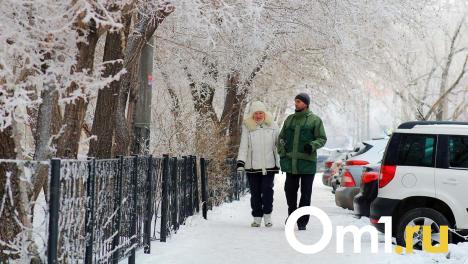 Резкое похолодание обрушится на Новосибирск в День защитника Отечества
