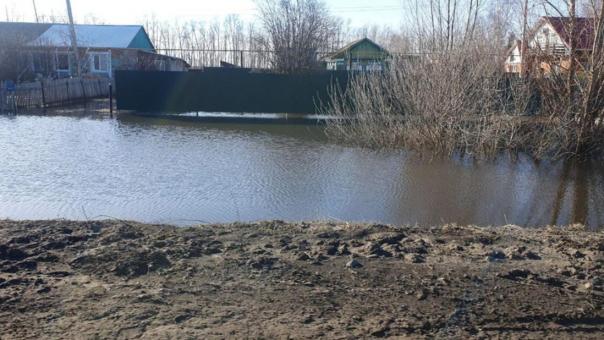 Полгода под водой: дачные участки Новосибирска находятся под постоянной угрозой затопления
