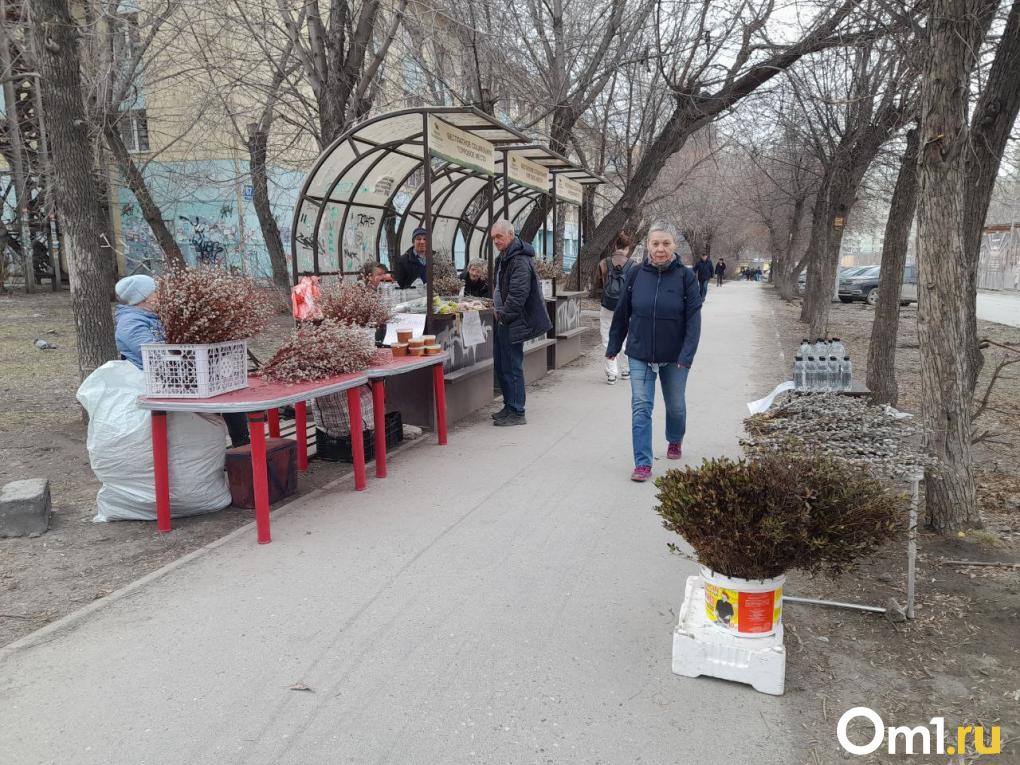 «Сижу без еды и воды»: трудности продавцов вербы в Новосибирске