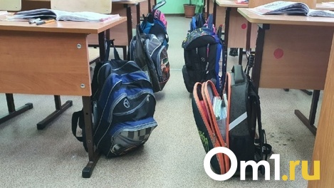 Пронзила острая боль: женщина избила школьника-дзюдоиста в Новосибирской области