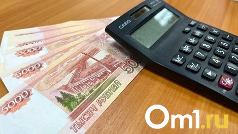 Вместо бройлерного производства - долги: омская компания довела до банкротства алтайскую птицефабрику