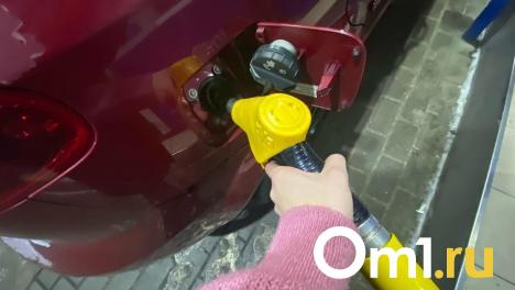 В Омске подскочили цены на бензин, дизель и газ