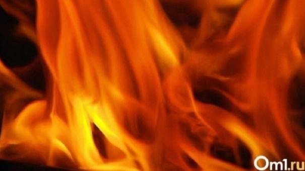 Автомобиль омского рыбака дотла сгорел на трассе в Новосибирской области