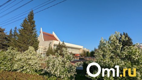 Морозные ночи и жаркие дни: омичам обещают резкий температурный перепад на выходные