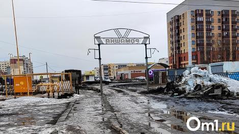 Миллионные долги и колоссальная безучастность. Глава омского СНТ, заподозренный в хищениях, – о ситуации