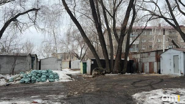 В Омске нашли человека, который выбросил у контейнеров трупы собак и кошек