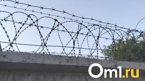 Новосибирский суд «отправил» финансиста террористов на 9 лет в колонию строгого режима
