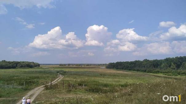 Переувлажнение почвы: ещё в одном районе Омской области ввели режим ЧС