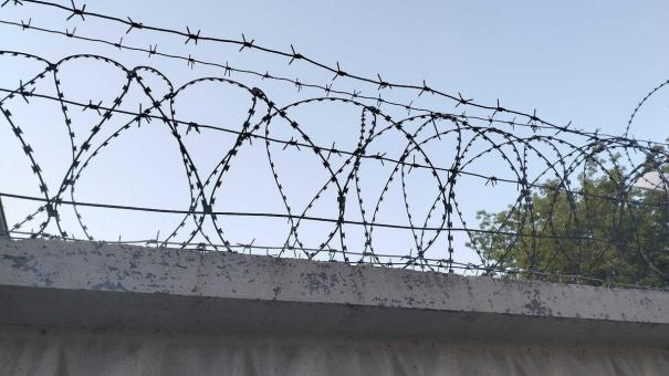 Адвокат Зайцев разъяснил, что грозит за поцелуй в общественном месте