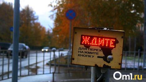 В Омске ожидается резкий поворот погоды: снег выпадет уже на следующей неделе