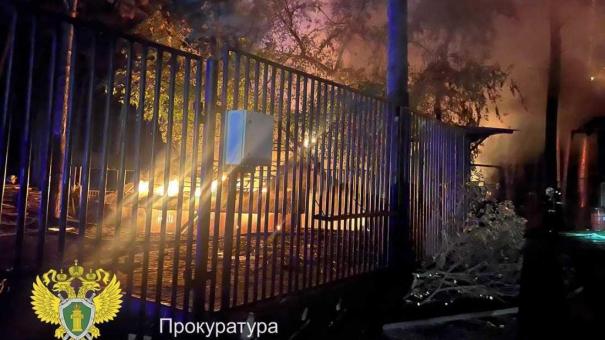 Новосибирские мошенники собирают деньги на погибших в пожаре животных