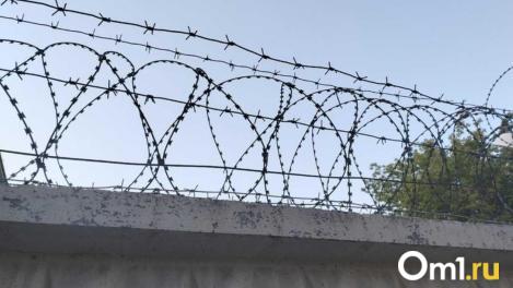 Подозреваемого в разбойном нападении с отверткой мужчину задержали в Новосибирске