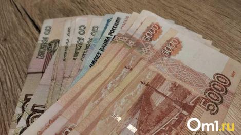 Вместо бизнеса — долги: в Новосибирской области раскрыли хищение бюджетных средств