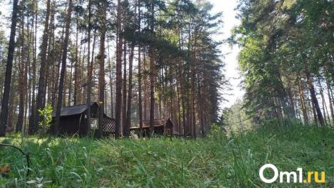 Убыточный сезон: в Омской области закрывается база отдыха на берегу Иртыша