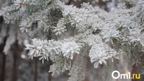 Морозы до -14°C накроют Новосибирск 15 октября