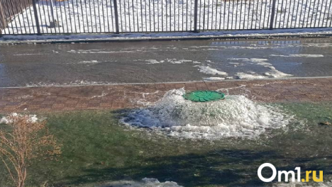 Фонтан из канализации: масштабная авария произошла в новосибирском микрорайоне Весенний