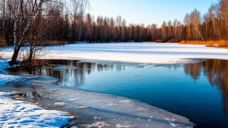 Прокуратура выясняет обстоятельства гибели несовершеннолетних на водоёме в Новосибирске