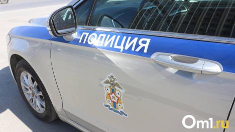 В Кировском округе Омска насмерть сбили велосипедиста