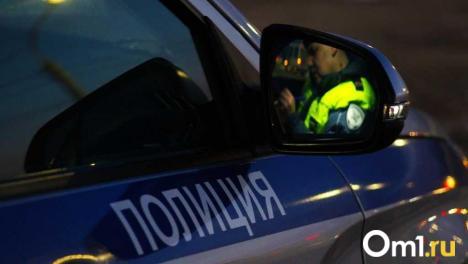 Сопротивлялась и пыталась сбежать: пьяная омичка устроила погоню с полицейскими