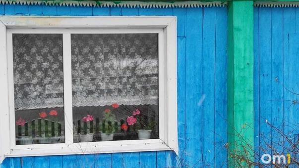 Названы районы Омской области, где чаще всего строят частные дома