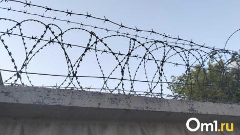 Житель Новосибирской области осуждён на 10 суток за торт с символикой АУЕ* в соцсетях
