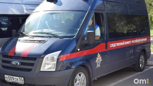 Уехал к друзьям: Бастрыкин потребовал доклад по делу о пропавшем омиче