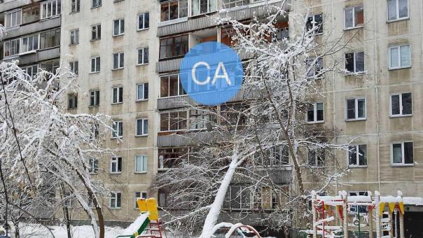 ЧП в Новосибирске: берёза упала на дом в Академгородке