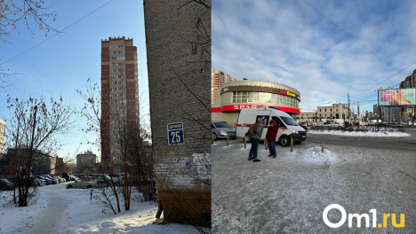 В Новосибирске не открылись ёлочные базары
