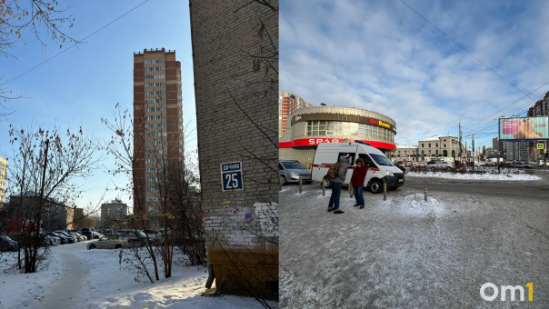 В Новосибирске не открылись ёлочные базары