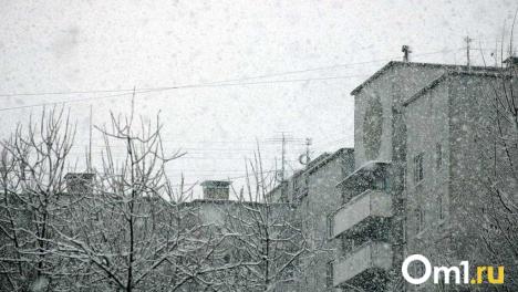 Омичей ждёт серия мощных снегопадов: прогноз на ближайшие дни