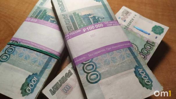 В полиции рассказали, сколько экономических преступлений произошло в Омской области в этом году