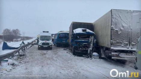 Появились подробности о водителе, устроившем смертельное ДТП под Омском