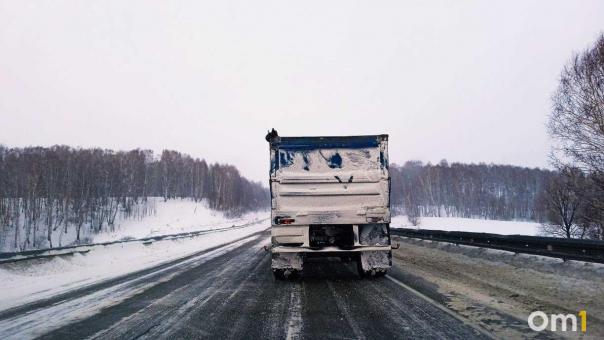 На границе с Омском задержали фуру с огромным количеством нелегальной конины