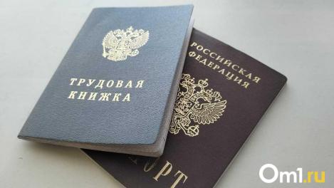 Зарплата до 160 тысяч: омичам назвали самые высокооплачиваемые вакансии для подработки