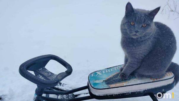 Неделя в Омске начнётся с небольшого потепления