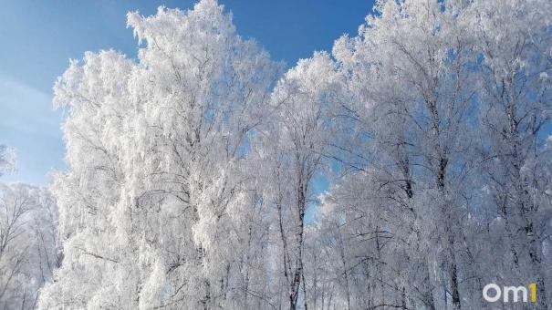 Снег на сутки и крепкий минус: какая погода будет в Новосибирске в выходные?