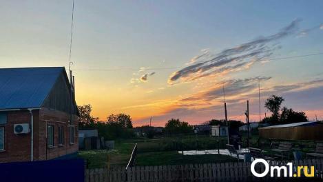 Дачные участки могут стать отдельными поселениями в Омской области