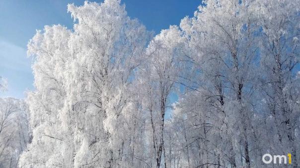 Мороз отступает? Стало известно, какая погода ждёт Новосибирск 5 февраля