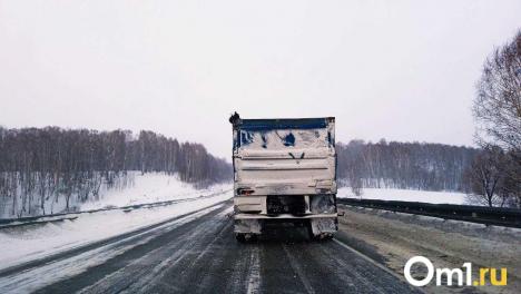 Омская область резко нарастила экспорт сельхозпродукции