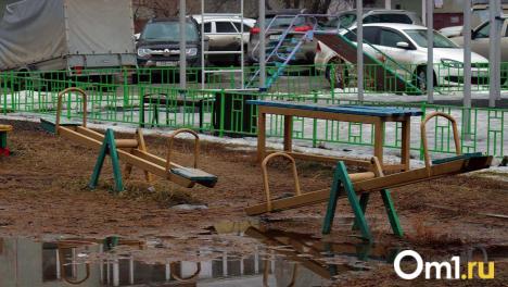 Метеорологи рассказали, когда в Омске сойдёт снег