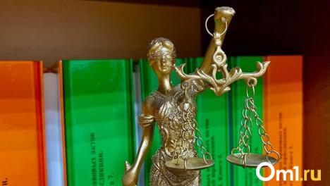 Коррупционная составляющая: Бастрыкин затребовал доклад по делу о высотке в Новосибирской области