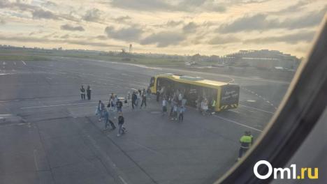Пауэрбанк загорелся в самолёте «Уральских авиалиний» рейса Екатеринбург – Стамбул
