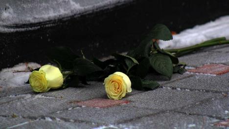 В Нижнем Новгороде восстановят полную родословную Евгения Евстигнеева