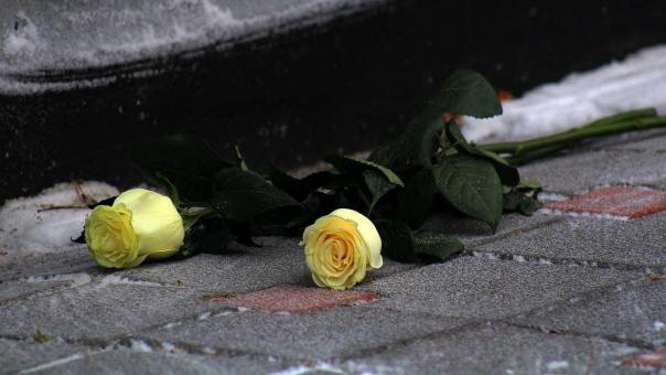 В Нижнем Новгороде восстановят полную родословную Евгения Евстигнеева