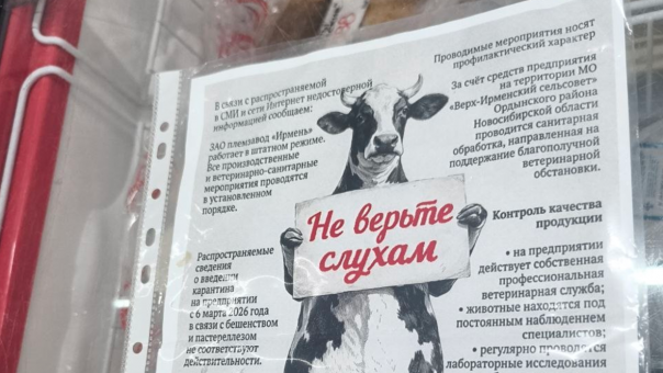 «Не верьте слухам»: корова с листовки племзавода «Ирмень» успокаивает покупателей на фоне пастереллёза в НСО