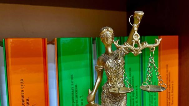 Две фермы подали в арбитражный суд Новосибирской области на органы власти из-за изъятия скота