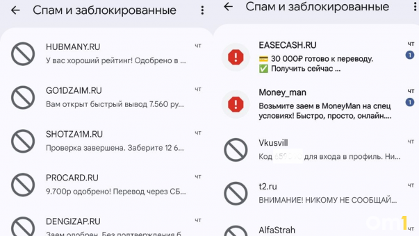 Спам, паника и сбой в банках: новосибирцев накрыло волной сообщений перед техническим коллапсом